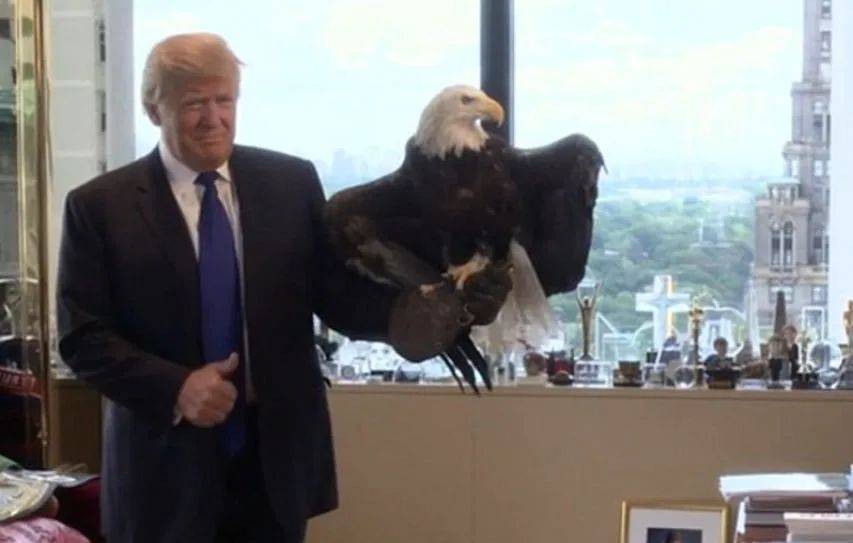 皇冠信用網如何申请
_耶伦再次站了出来皇冠信用網如何申请
,若是与中国对着干,就把美国自己给“打残”了