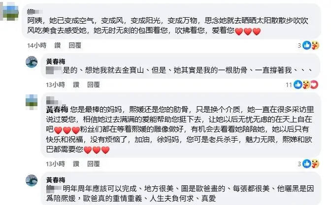 皇冠信用网登3代理_S妈说大S是自己的肋骨 称具俊晔重情重义对大S是真爱