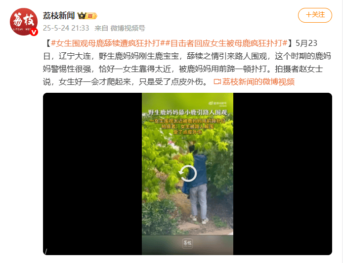 皇冠皇冠足球平台_视频曝光！大连一女子在市区内遭母鹿疯狂扑打皇冠皇冠足球平台，知情人称疑因拍刚出生小鹿，当地：已贴告示提醒，择机将鹿迁移回山里