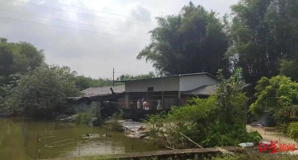 皇冠信用网如何申请_男子杀害母亲和女友后带嫂嫂潜逃32年落网皇冠信用网如何申请，两人育有一儿一女，侦破细节披露