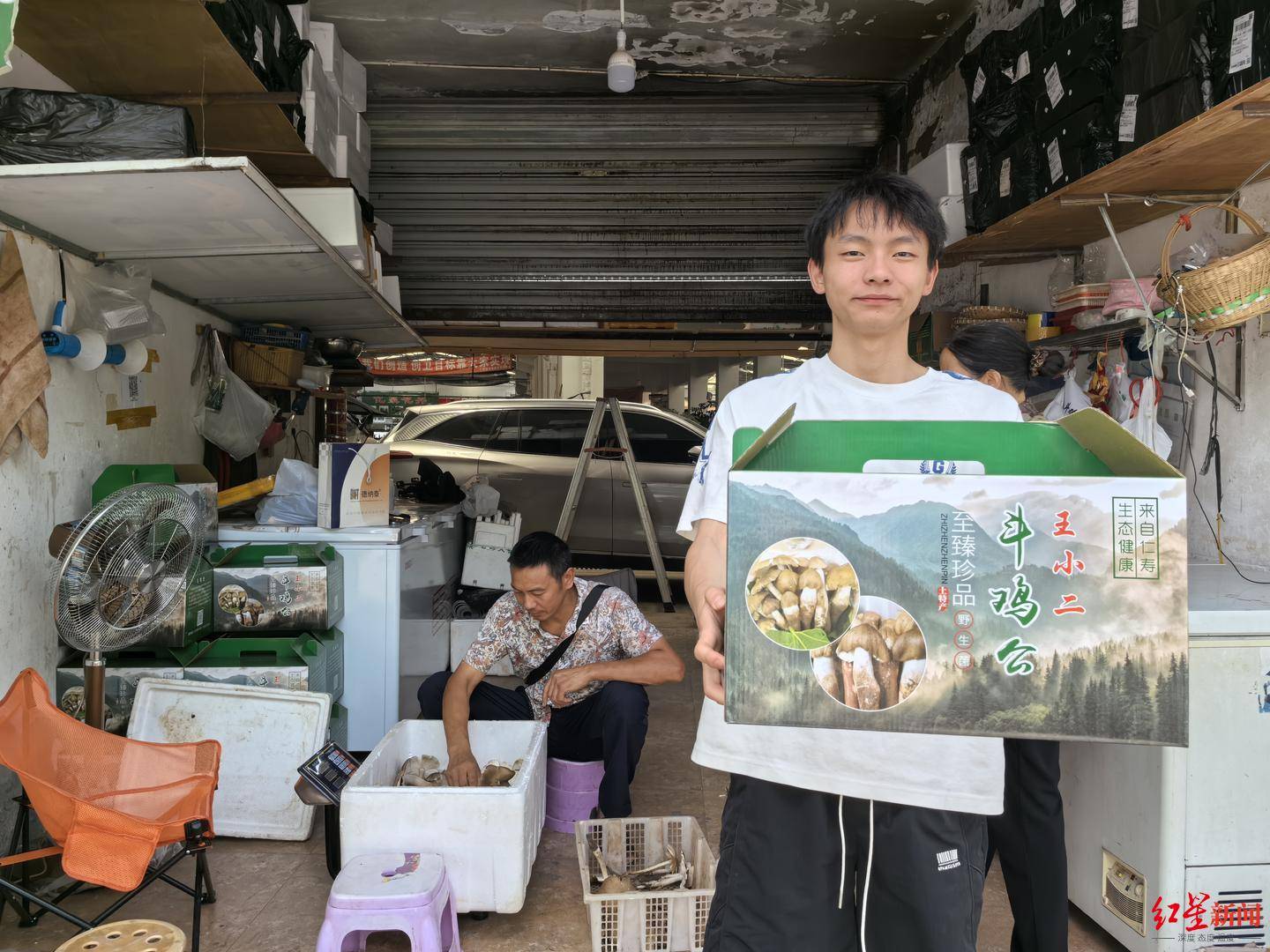 皇冠信用网代理注册_“天价”鸡枞调查：最贵卖到1800元/公斤！雨水少致产量低皇冠信用网代理注册，多地价高客少