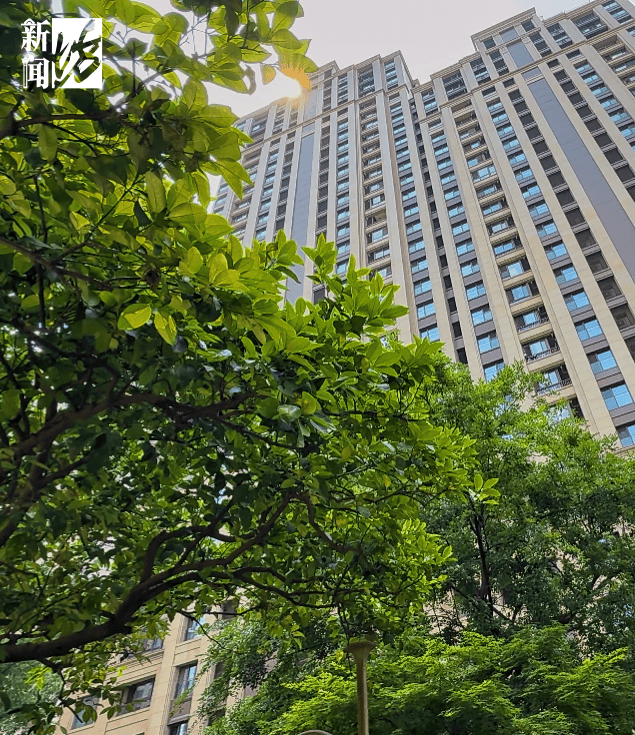 皇冠信用网出租_垃圾堆满皇冠信用网出租，臭到离谱！上海顶流豪宅业主也拾荒？邻居直呼倒大霉，不能忍！