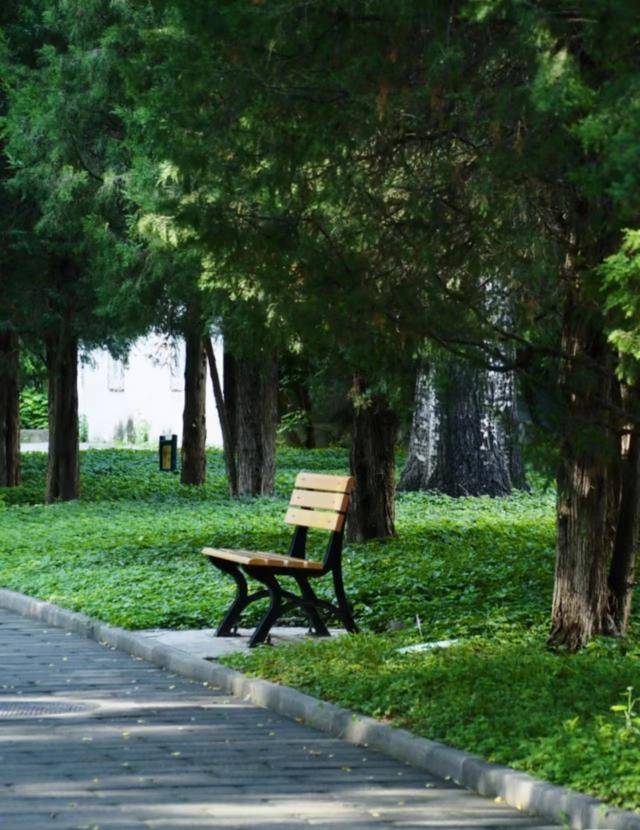 如何注册皇冠足球代理_最便宜收费公园？北京一公园门票仅0.2元如何注册皇冠足球代理，季票价3元