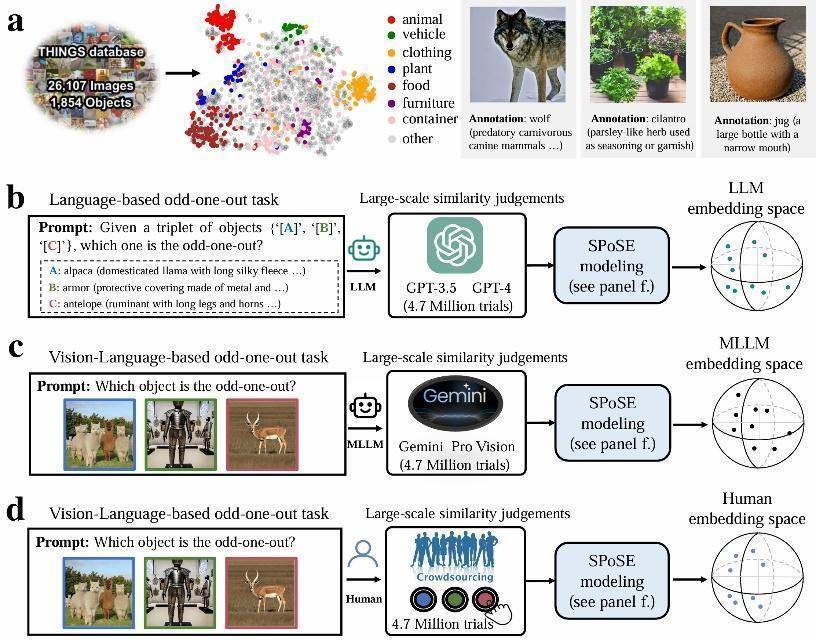世界杯足球
_世界杯足球
我国科学家首次证实大模型能像人类一样“理解”事物