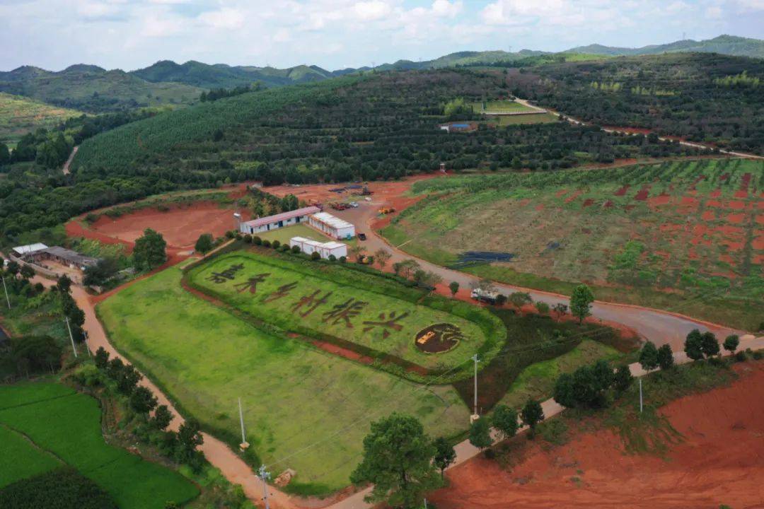 皇冠信用网出租_县委督战 行廊答卷