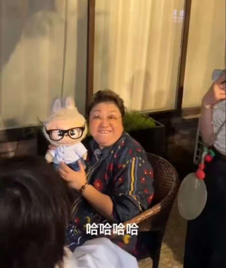 南安普敦VS雷克瑟姆_韩红撞脸Labubu玩偶南安普敦VS雷克瑟姆，本人认证：这太像了！