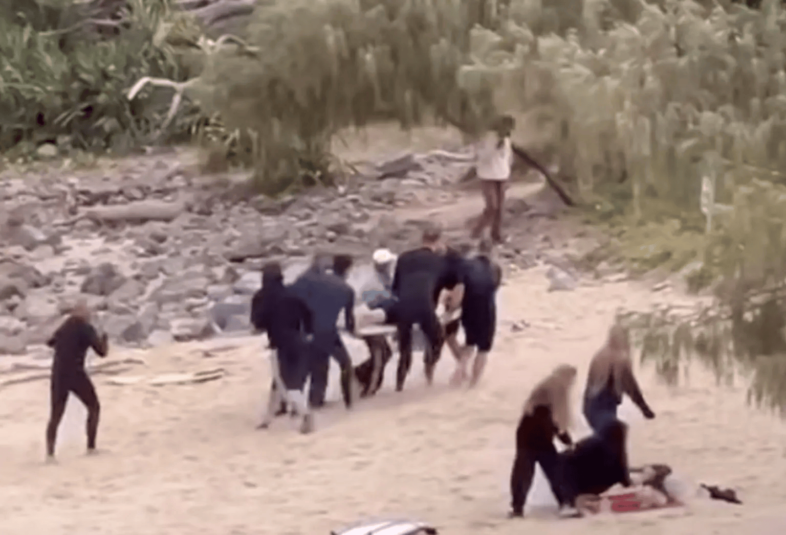 乌迪内斯VS维罗纳_鲨鱼咬伤一名16岁男孩后追赶他上岸乌迪内斯VS维罗纳，旁边有人帮忙挥拳打鲨鱼