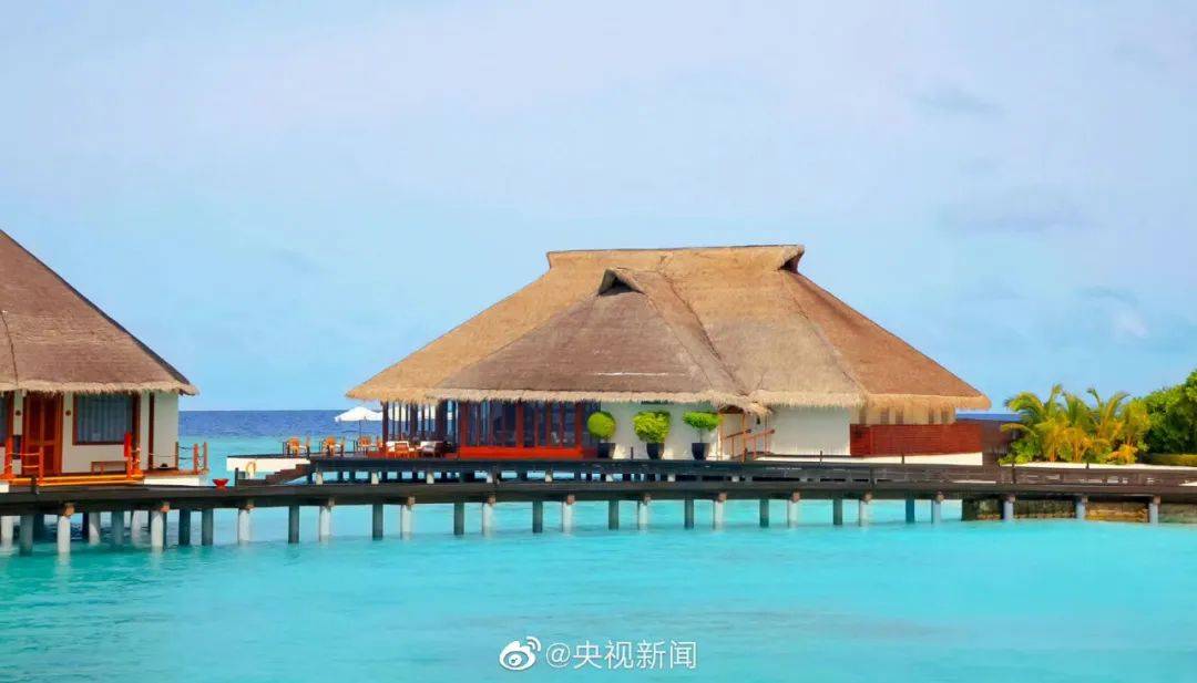 华盛顿神秘人篮球赛_杭州两家人马尔代夫旅游归来华盛顿神秘人篮球赛，三人同时发烧！紧急提醒！