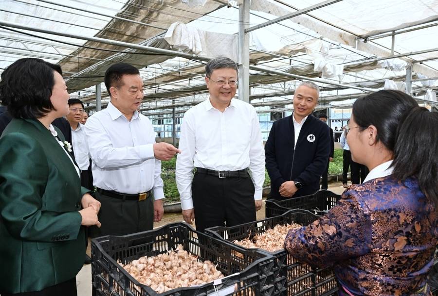 皇冠信用网结算日
_陈吉宁率上海市代表团深入西藏日喀则学习考察皇冠信用网结算日
,推动对口支援各项工作走深走实