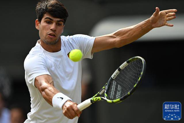 介绍个信用网址多少_新华图讯|辛纳首夺温网男单冠军