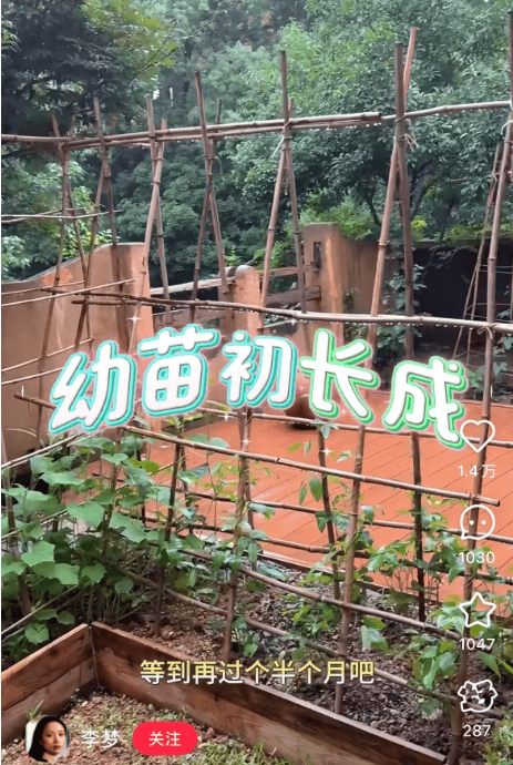 欧洲女子足球锦标赛_知名女演员官宣:欧洲女子足球锦标赛我搬到杭州了