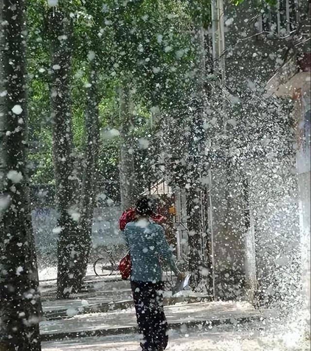 皇冠信用網出租_一发瘫痪一个城市!中国公布新型神秘炸弹皇冠信用網出租,是专门为谁准备的?