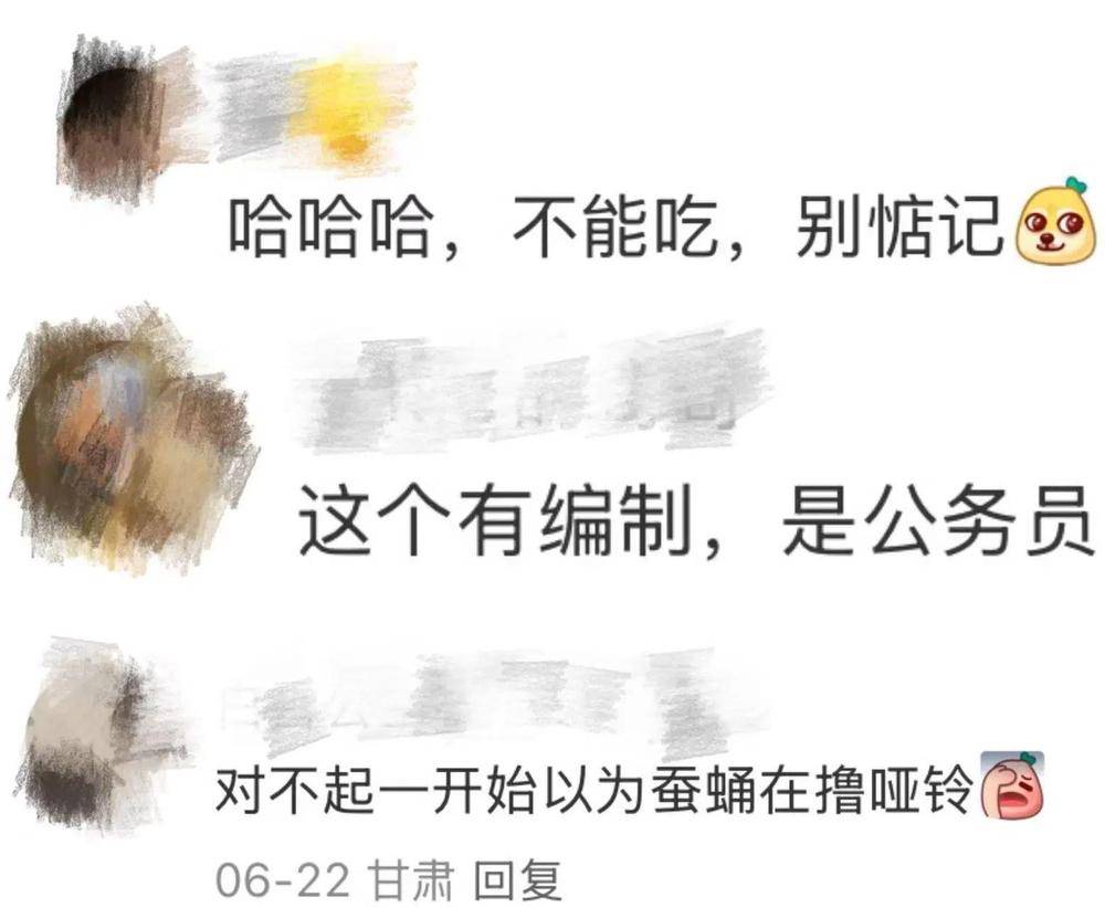 皇冠信用網平台出租_在北京路边看到这种黑色的蛹千万别动 网友：有“编制”