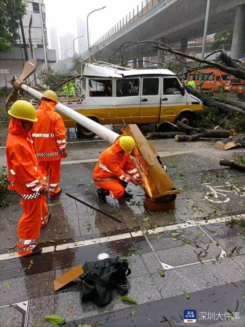 皇冠信用网会员开户_强风袭击皇冠信用网会员开户，深圳已出现树木倒伏！有行人被砸伤，非必要不出门