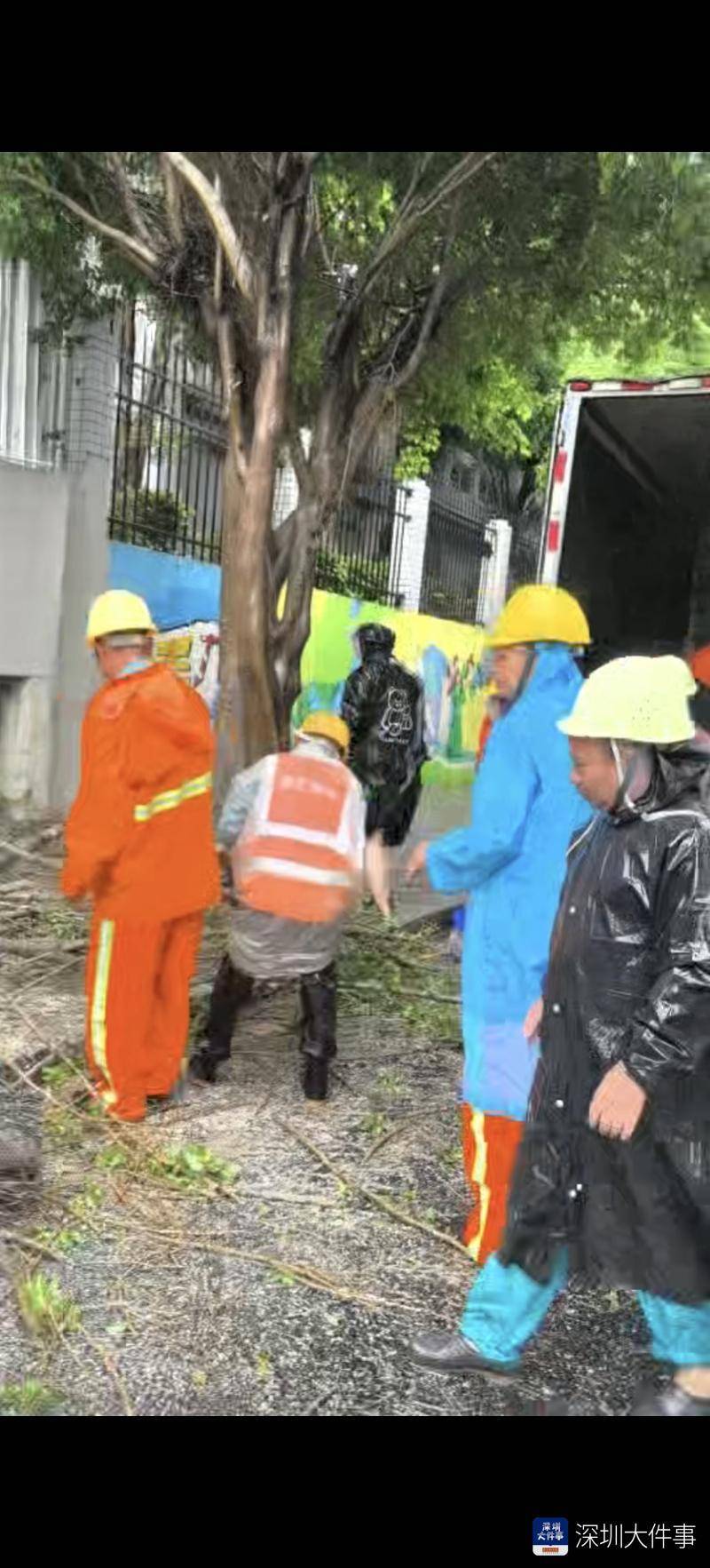 皇冠信用网会员开户_强风袭击皇冠信用网会员开户，深圳已出现树木倒伏！有行人被砸伤，非必要不出门