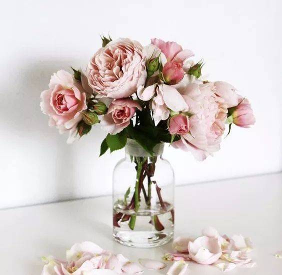 皇冠信用网登1_出远门前皇冠信用网登1，为什么一定要在冰箱里放枚硬币？