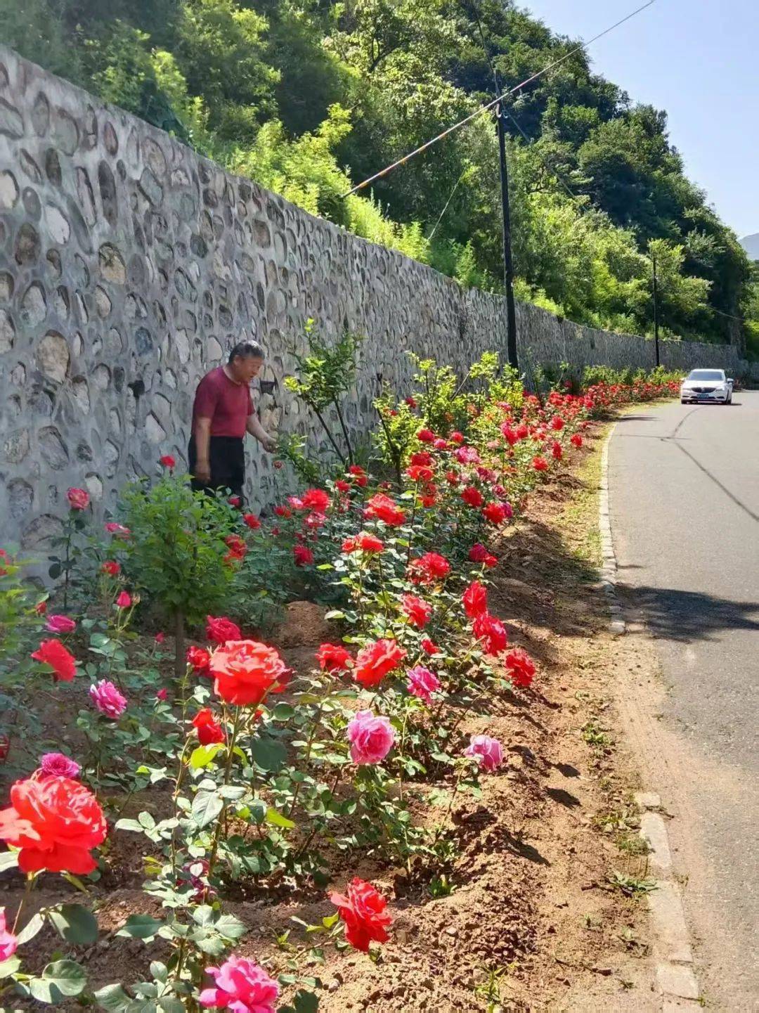 皇冠登1登2登3代理_被洪水冲走的怀柔村支书“二华”皇冠登1登2登3代理,发来的信息还存在村民的手机里
