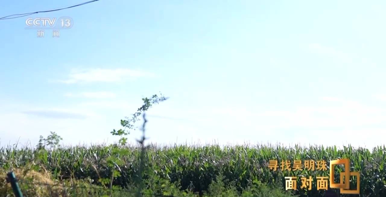 皇冠信用网怎么申请_面对面丨中国人的吃瓜自由要感谢她皇冠信用网怎么申请！吴明珠说她的一生就是结几个好瓜献给人民