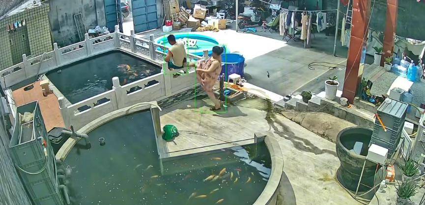 皇冠信用網怎么开户_新乡一男子喂鱼忘送娃上课被妻子踹进鱼池：妻子怀孕脾气有时候控制不住皇冠信用網怎么开户，互相道了歉