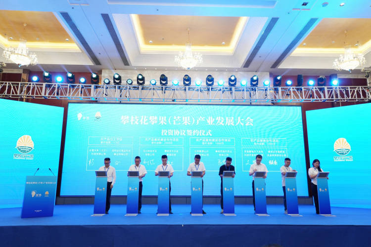 皇冠信用網开户_项目投资总额近15亿元 攀枝花攀果（芒果）产业发展大会在盐边举行
