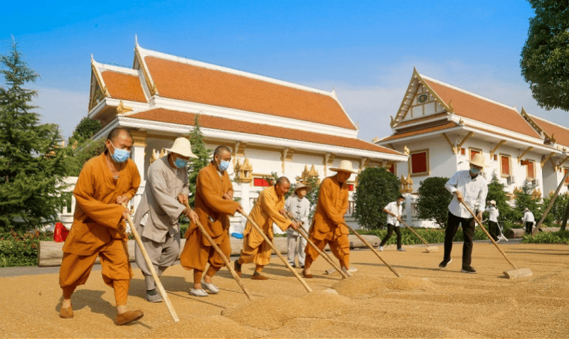 皇冠体育App下载_两座千年古刹今与昔:实探经历掌门变换的少林寺和白马寺