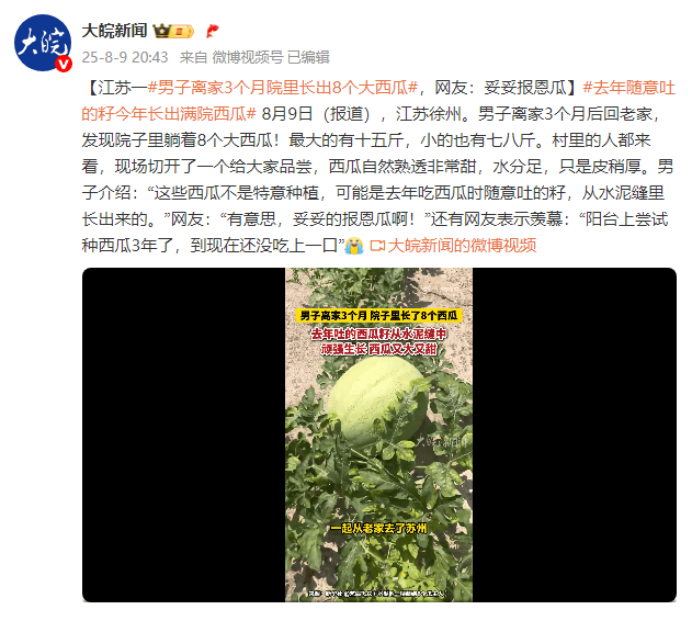 奥地利甲组联赛_江苏一男子离家3个月院里长出8个大西瓜奥地利甲组联赛，网友：妥妥报恩瓜