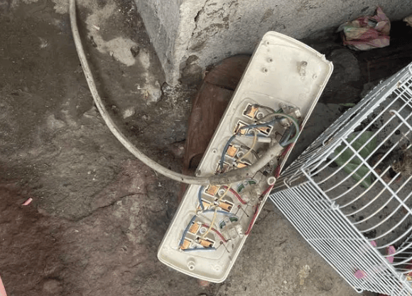 皇冠信用網需要押金吗_惊险皇冠信用網需要押金吗！男童从22楼坠落！重要提醒→