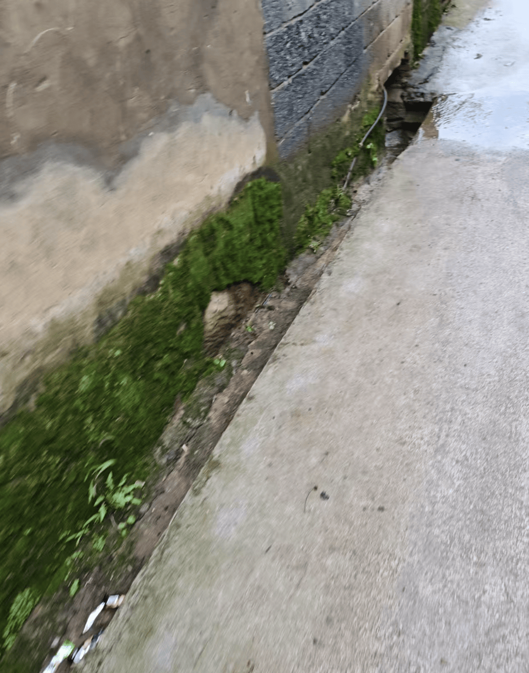 皇冠信用APP下载_云南曲靖一女孩被同班男生送回家途中杀害皇冠信用APP下载，当地警方介入，家属发声