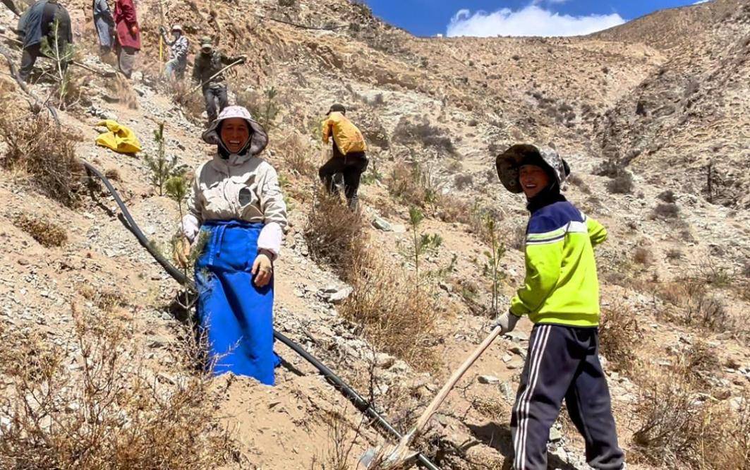 皇冠皇冠平台_县·观察｜乃东：高原沃土的产业振兴之路