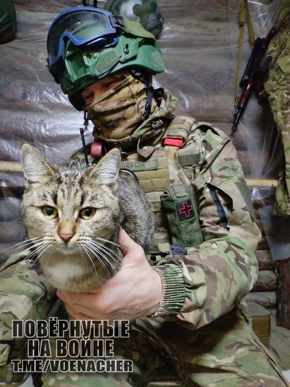 皇冠信用盘账号申请
_乌克兰亚速营前参谋长:乌军前线炸锅了皇冠信用盘账号申请
,俄军即将实现两次大包围