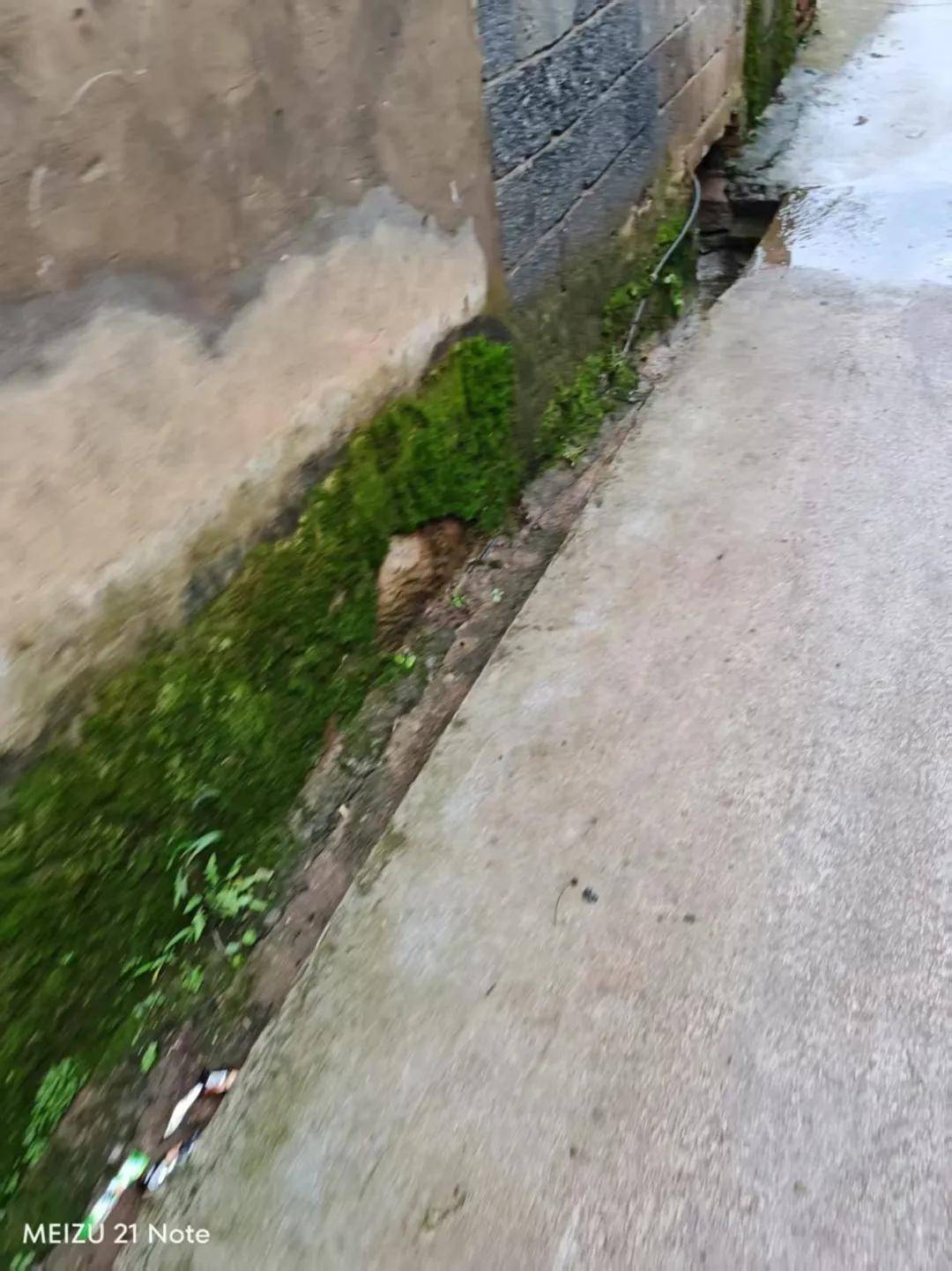 皇冠信用網注册开通_中学男孩杀害同班女生皇冠信用網注册开通，或意图实施性侵