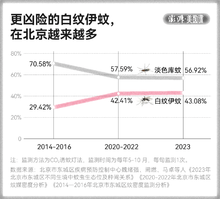 皇冠信用盘占成代理
_全球“最毒”的蚊子皇冠信用盘占成代理
,为何批量北上