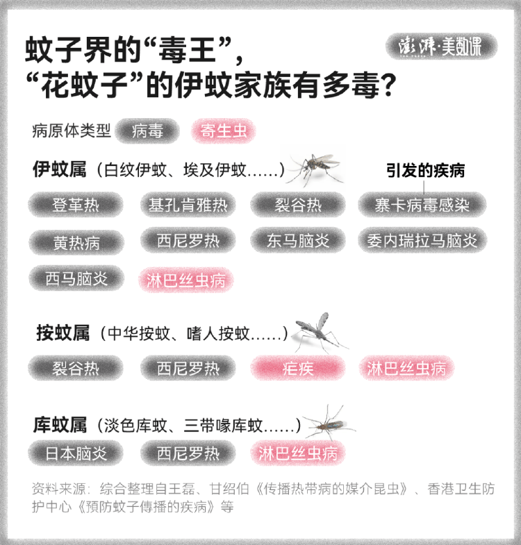 皇冠信用盘占成代理
_全球“最毒”的蚊子皇冠信用盘占成代理
,为何批量北上