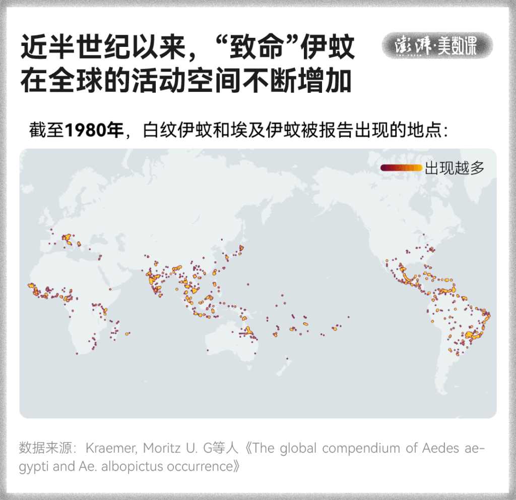 皇冠信用盘占成代理
_全球“最毒”的蚊子皇冠信用盘占成代理
,为何批量北上