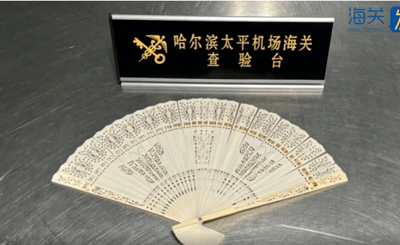 皇冠信用盘平台出租_一旅客因一把“漂亮折扇”在哈尔滨机场被查！经鉴定：非洲象象牙制品皇冠信用盘平台出租，净重61.7克