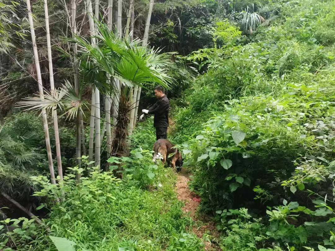 皇冠信用網登123出租_湖南新韶突然失踪的2岁女孩平安找到皇冠信用網登123出租，当地公安：在距离家1公里外的山林石缝中发现