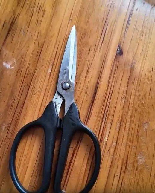 捷克甲组联赛 _太突然！上海98岁阿婆拿起剪刀捷克甲组联赛 ，一把剪掉头上的“角”！网友：对自己够狠