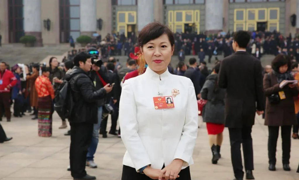 艾里斯vs阿波罗利马素尔_“换装主席”王莉霞的堕落：从光鲜人设到腐败深渊