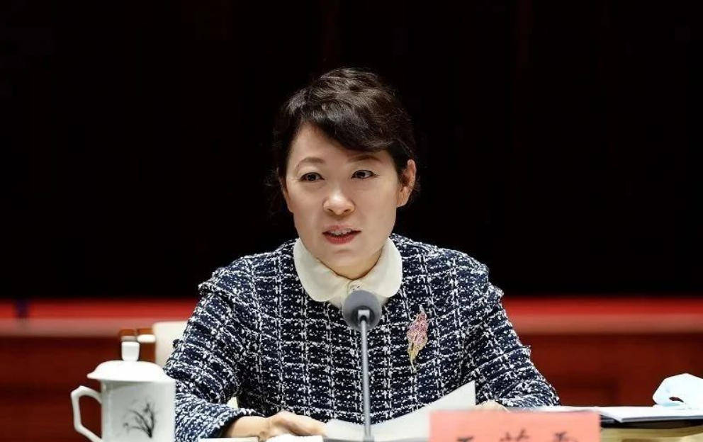 艾里斯vs阿波罗利马素尔_“换装主席”王莉霞的堕落：从光鲜人设到腐败深渊