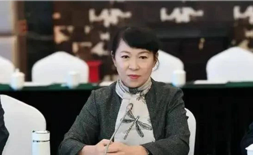 艾里斯vs阿波罗利马素尔_“换装主席”王莉霞的堕落：从光鲜人设到腐败深渊