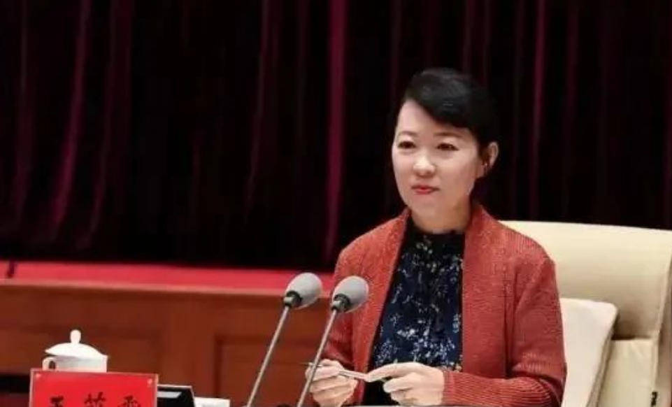 艾里斯vs阿波罗利马素尔_“换装主席”王莉霞的堕落：从光鲜人设到腐败深渊