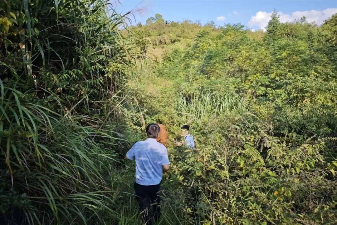 皇冠信用平台出租出售_无人机精准锁定皇冠信用平台出租出售，“牛”到家啦！