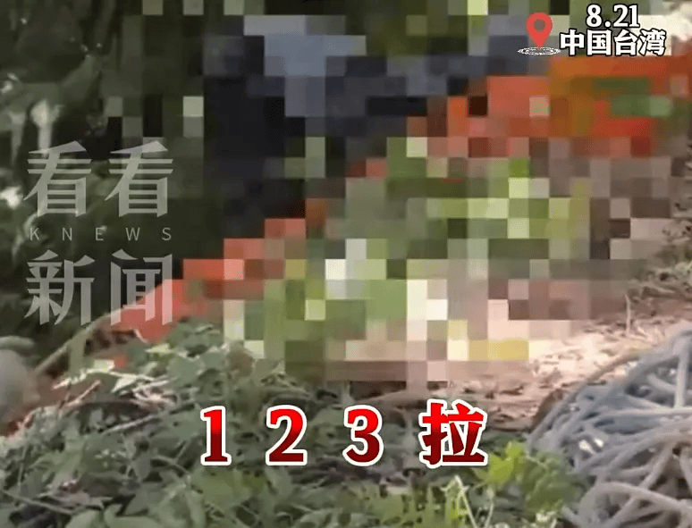 皇冠信用登2代理_17岁少年遭好友虐杀弃尸! 当地警方: 9人落网,含1名现役海军中士