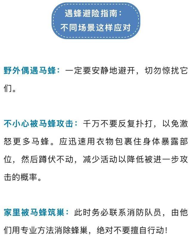 洛杉矶银河vs西雅图海湾人_别招惹！广东一老人中招洛杉矶银河vs西雅图海湾人，不幸去世
