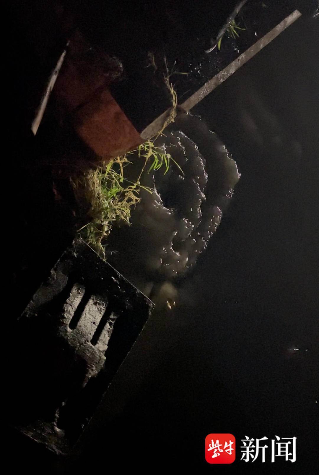 京都不死鸟vs冈山绿雉_记者实探：晚高峰暴雨致南京江宁泉东路积水成河