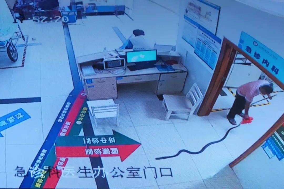奥胡斯vs弗雷德里西亚_眼镜王蛇咬伤老人奥胡斯vs弗雷德里西亚，家属拖两米多长的“凶手”冲进医院！“拎蛇就医”可取吗？