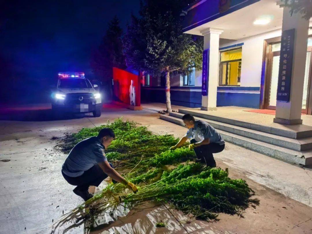 皇冠信用网最新地址_中国留学生因用手机拍照翻译遭拘押皇冠信用网最新地址，中使馆紧急提醒！【新闻早知道】