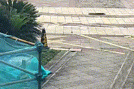 阿塞纳希切万vs卡巴拉_女子与妹妹因清理狗屎发生争执阿塞纳希切万vs卡巴拉，将2只狗从21楼扔下摔死，狗买回不到一个月，最小1斤重