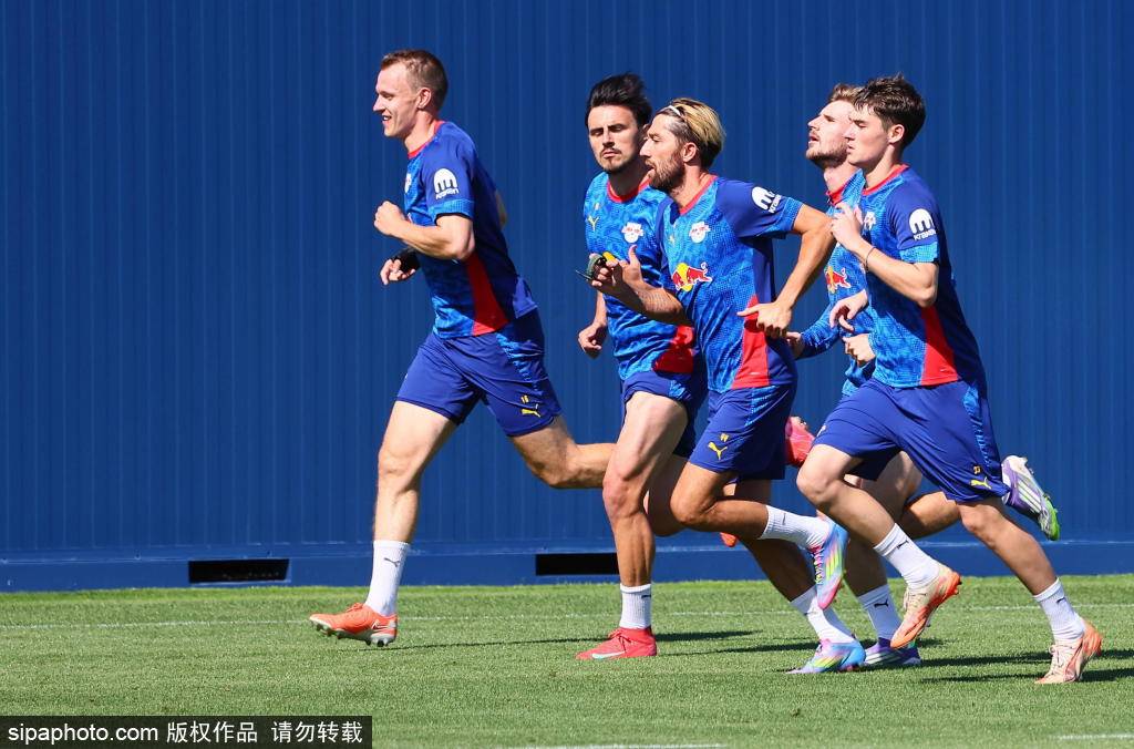 意大利乙组联赛_哈德尔转会莱比锡：超2000万欧元背后的故事与战术影响