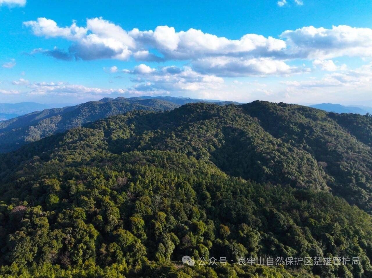 塞尔维亚超级联赛_云南哀牢山新规出台：禁止任何单位和个人擅入哀牢山自然保护区塞尔维亚超级联赛，从事科研活动须报批